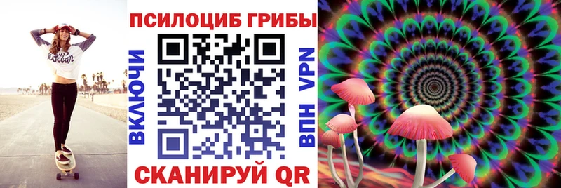 Галлюциногенные грибы прущие грибы Тихвин